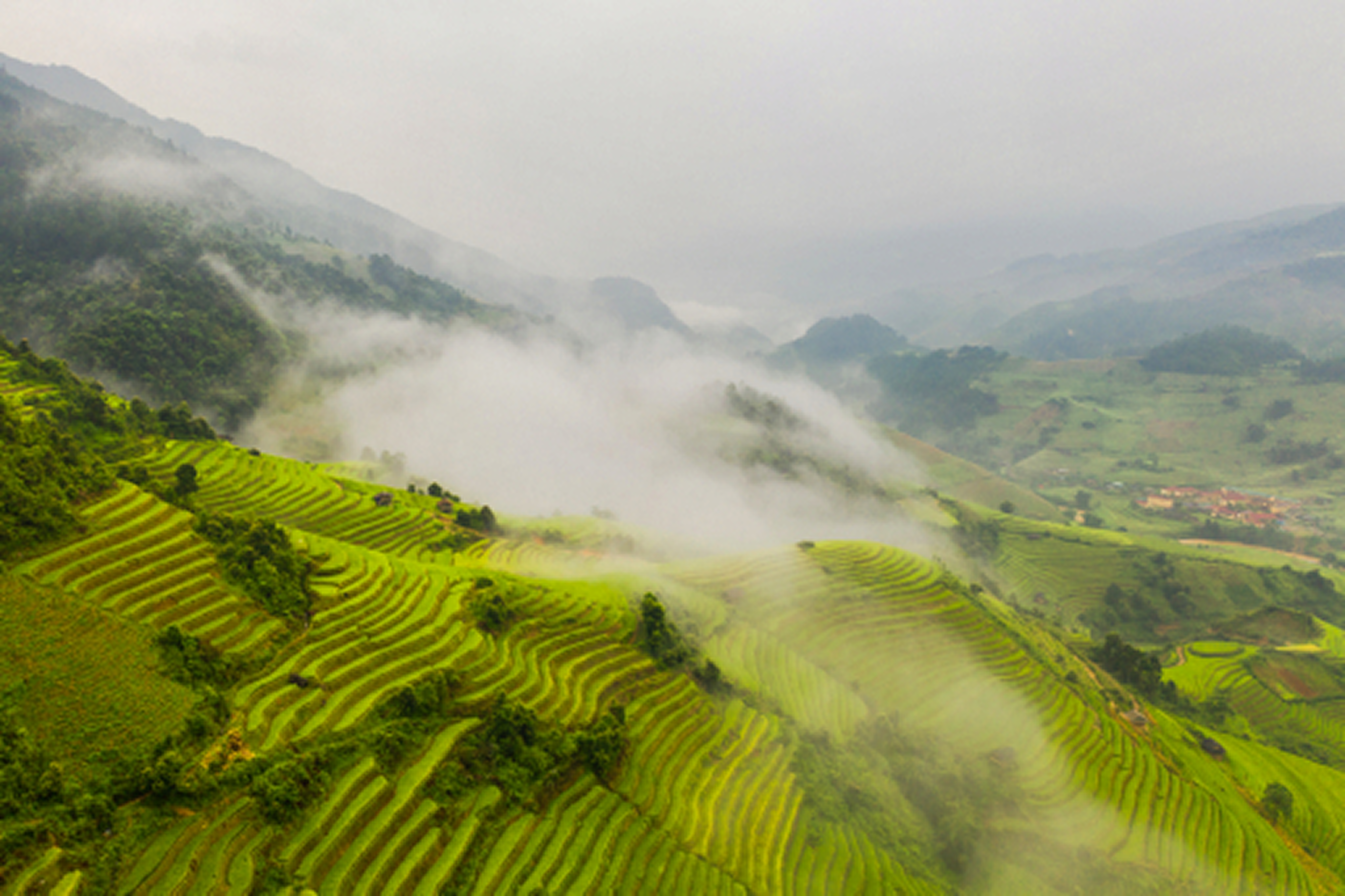 files/paddy-rice-terraces-green-agricultural-fields-in-2024-10-22-16-12-17-utc_1.png